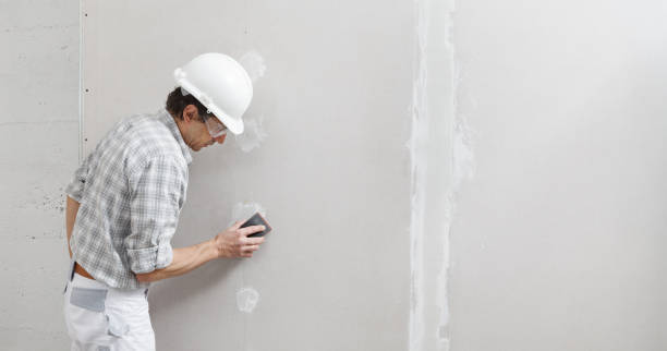 Best Emergency Mold Remediation  in Batavia, OH