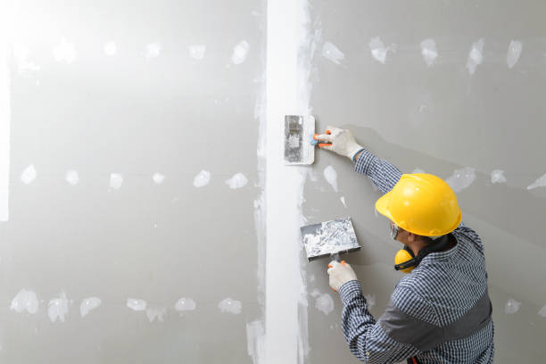 Best Attic Mold Removal  in Batavia, OH