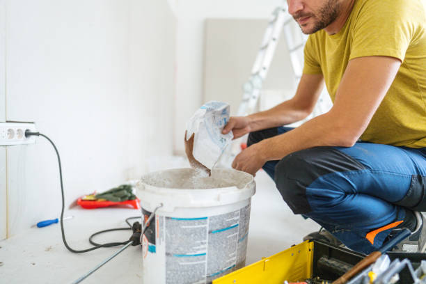 Best Basement Mold Removal  in Batavia, OH