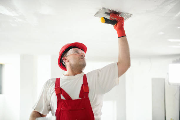 Best Commercial Mold Inspection  in Batavia, OH
